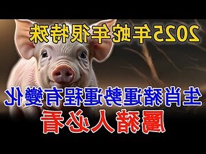 豬 生肖